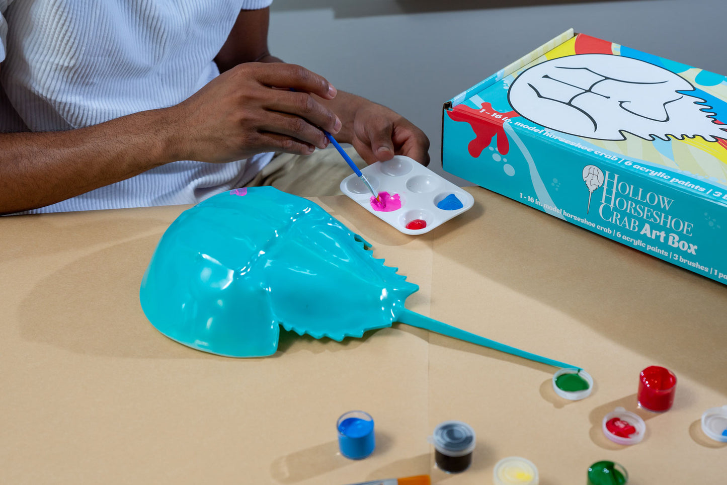 Hollow Horseshoe Crab Art Box