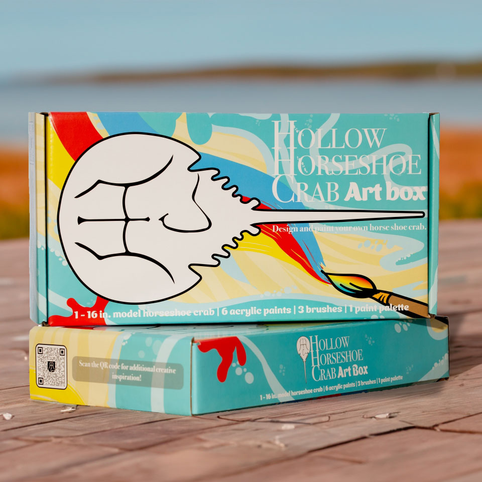 4 Color Gift Box Set - Rainbow — The Horseshoe Crab